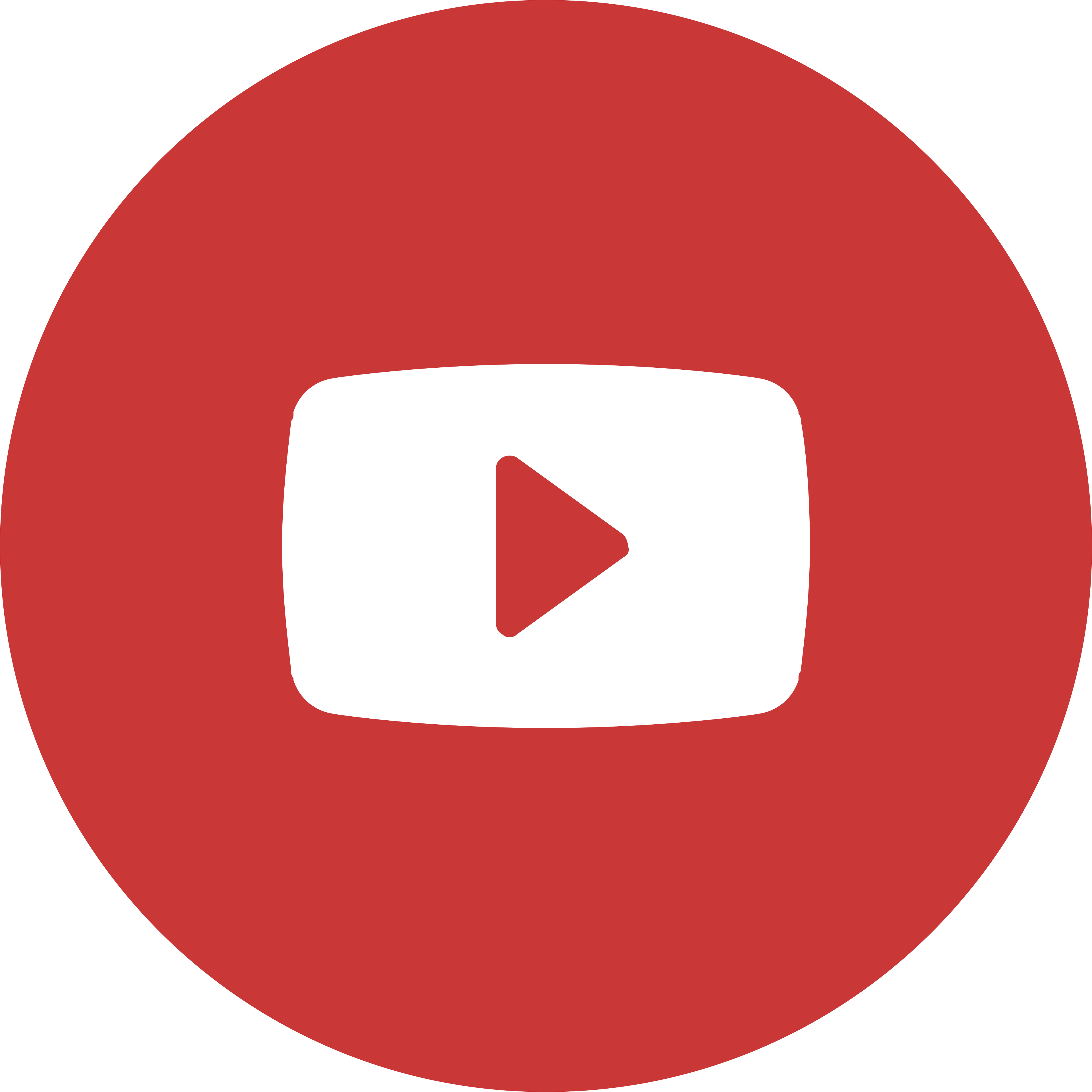 YouTube Logo